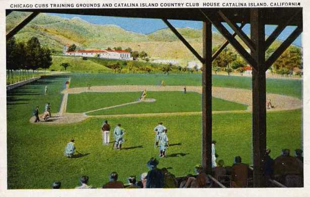 Catalina-island, cubs spring training